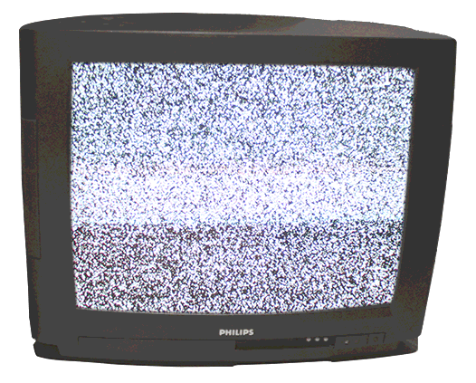 gif de différent traitement sur une photo d'un campgnol roussatre