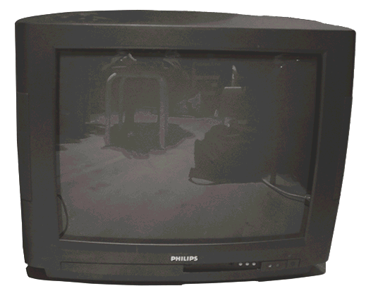 if de différent traitement sur une photo d'une mésange nonnette