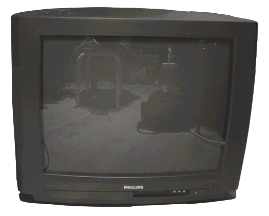 gif de différent traitement sur une photo d'une buse