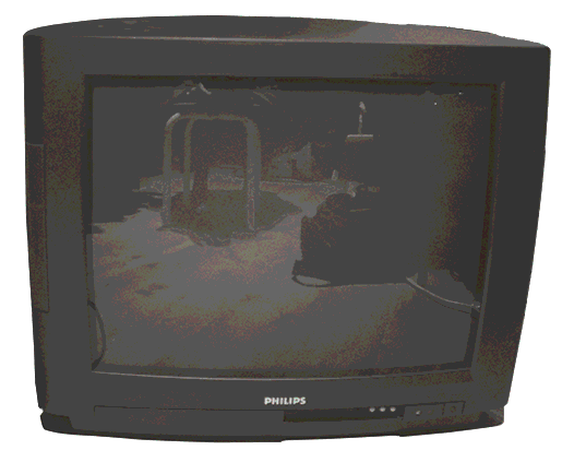 gif de différent traitement sur une photo d'une branche de thermite